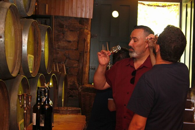 Full Day Wine Tour and River Cruise at Douro Valley - Schedule and Itinerary