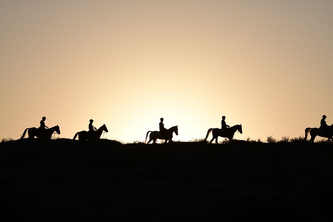 Full Moon Horse Riding in Dubai - Inclusions Provided