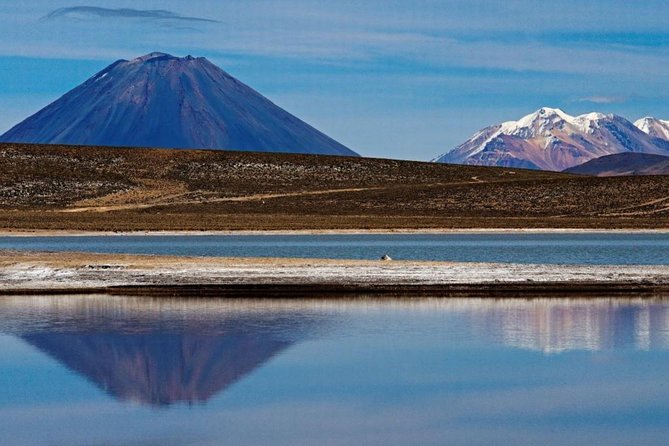 Fullday: Salinas Lagoon From Arequipa - Meeting and Pickup Information