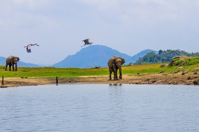 Gal Oya National Park Safari - Additional Costs and Inclusions