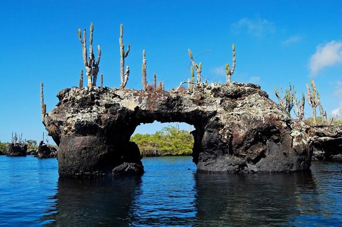 Galapagos - Santa Cruz and Isabela. 6 Days Tours - Pick-Up Information