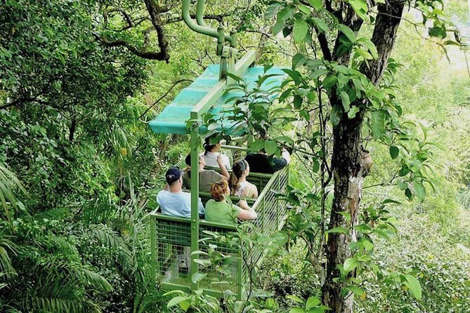 Gamboa Aerial Tram & Sloth Sanctuary From Panama City Combo Tour - Pickup and Transportation Details