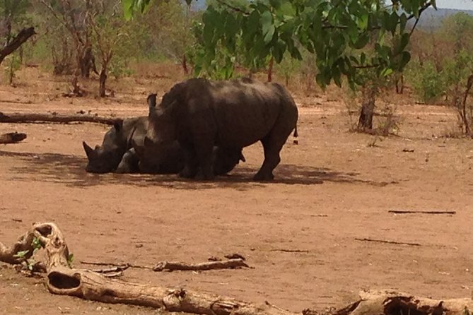 Game Drive and Rhino Walk Tour in Livingstone