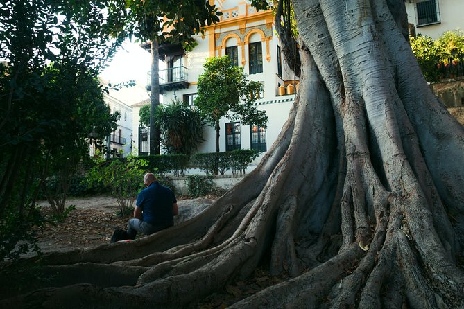 Gardens of Seville - Exploring Sevilles Green Spaces