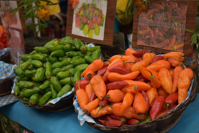 Gastronomic Tour: Test Your Senses - Frequently Asked Questions