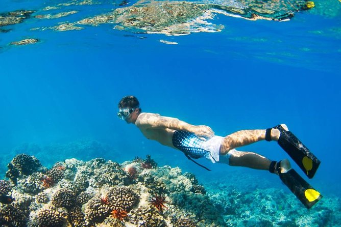 Gaya Island Trek & Sapi Island From Kota Kinabalu - Additional Info