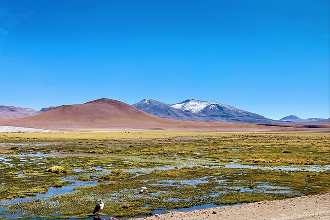 Geothermal Awakening: Adventure in the Tatio Geysers - Tips for an Enjoyable Experience