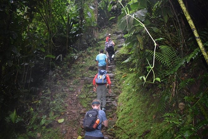 Get to Know Living Indigenous Culture in Ciudad Perdida (Santa Marta) - Transportation Information
