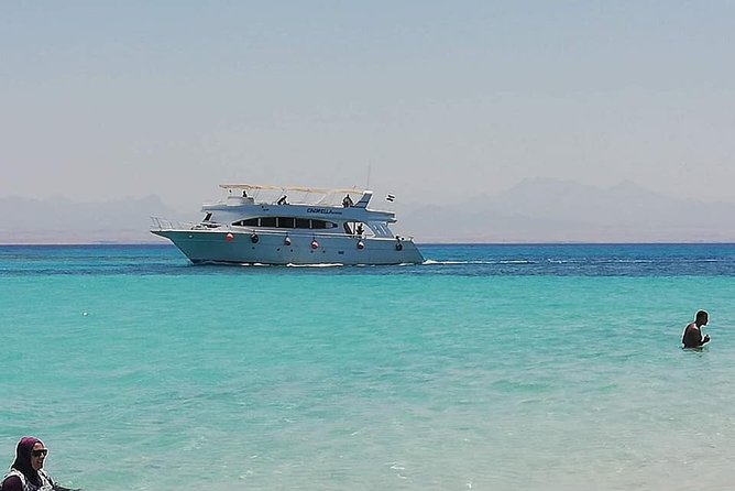 Get up Close to Dolphins on This Fantastic 9-Hour Snorkel Trip From Hurghada - What to Expect