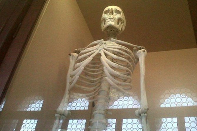Ghosts Wandering in the Dusk (Free Tour to Murano Included) - PRIVATE - Start Time and End Point