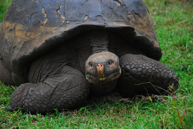 Giant Tortoises Private Tour of Galapagos Frontier Reserve - Tour Schedule
