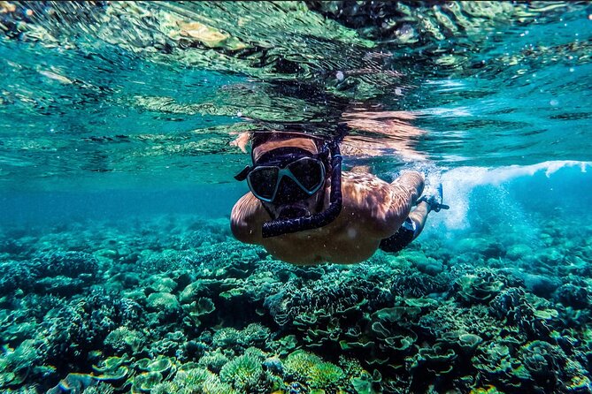 Gili Ticket Transfer From Bali and Return to Bali - Pricing and Cancellation