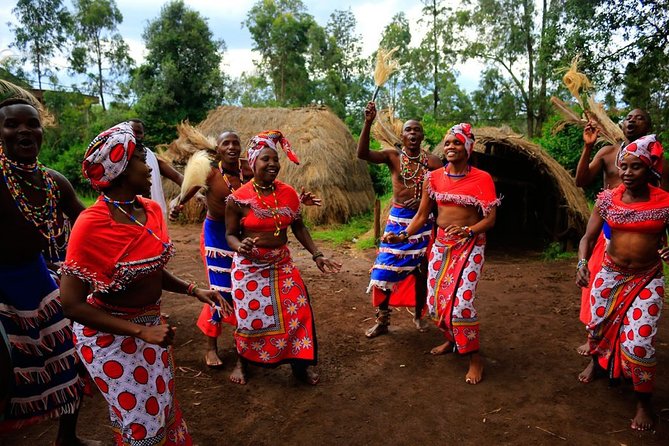 Giraffe Center, Elephant Orphanage, Bomas of Kenya & Carnivore Dinner Tour - Experience at the Elephant Orphanage