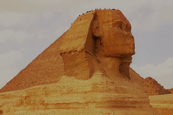 Giza Pyramids & the National Museum of Egyptian Civilization Tour - Expert Egyptologist Guided Tour