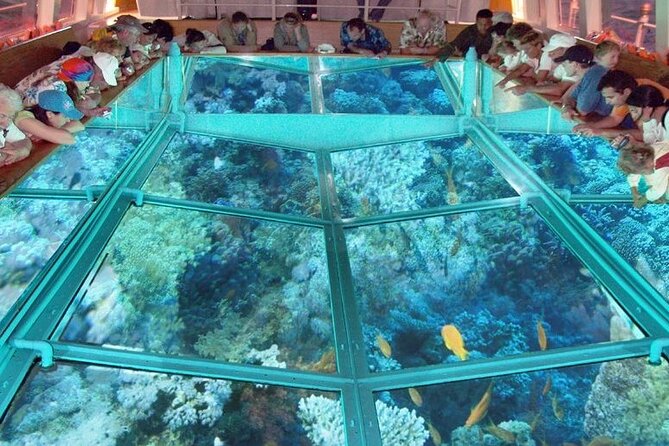 Glass Bottom Boat in Sharm El Sheik - Additional Information