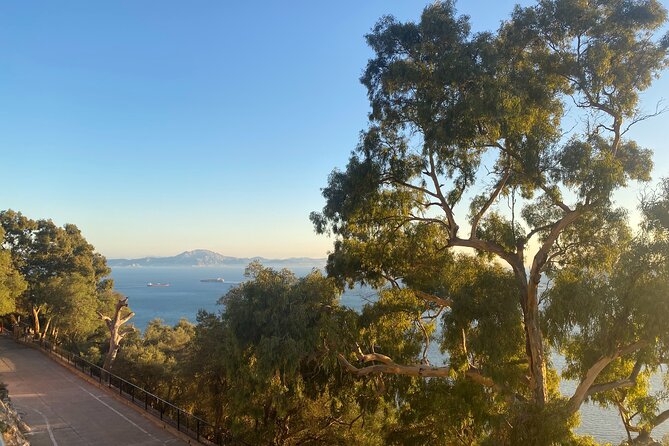 Go Tours Premium Gibraltar Experience With Professional Guide - Pickup Information
