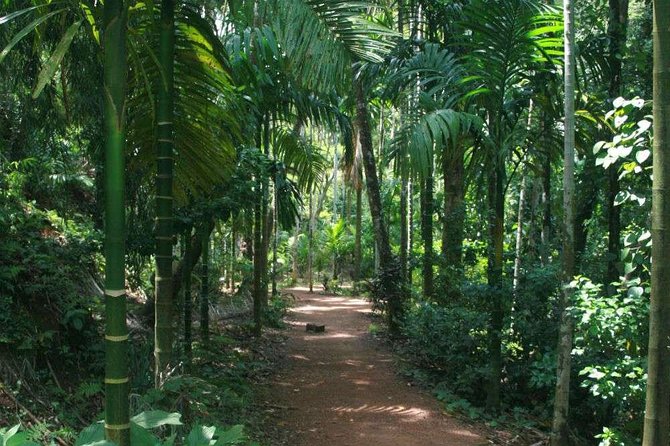 Goa Full-day Sightseeing - The Sum Up
