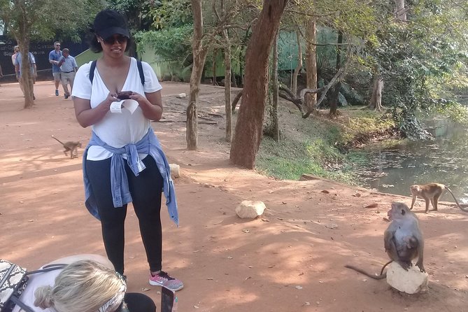 Golden Beach Negombo to Lion Rock Sigiriya Hiking - Safety Tips