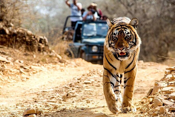 Golden Triangle Tour With Jim Corbett National Park - Directions and Map
