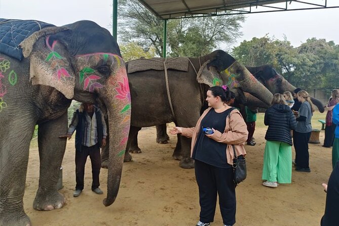 Golden Triangle Tour With Overnight at Rajasthani Village - Pricing and Booking Information