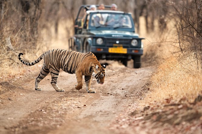 Golden Triangle Tour With Ranthambore - Confirmation Details