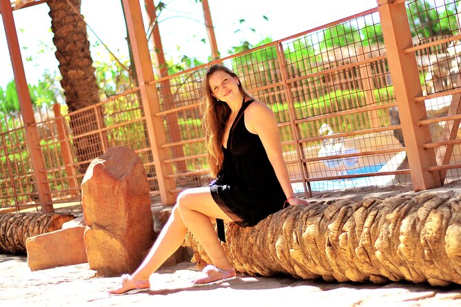 Grand Aquarium From Hurghada - What to Expect