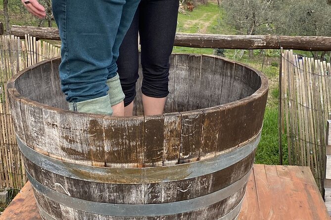 Grape Stomping Experience and Wine Tasting - Accessibility Details