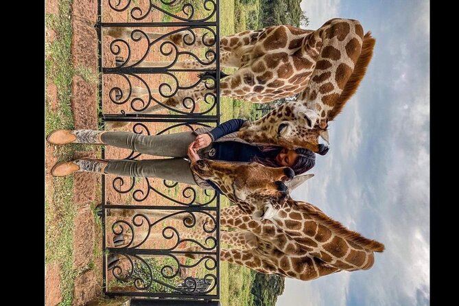 Great Safari Adventure - Pickup Options and Schedule