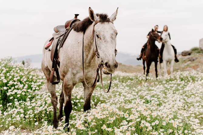 Greek Village Horse Riding Tour With Caldera View - Traveler Requirements