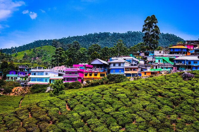 Green Magic Day Tour to Munnar - Customer Reviews