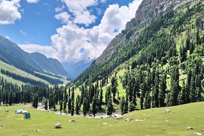 Group Kashmir Deluxe Tour & Tailored Ex Srinagar - Price and Availability