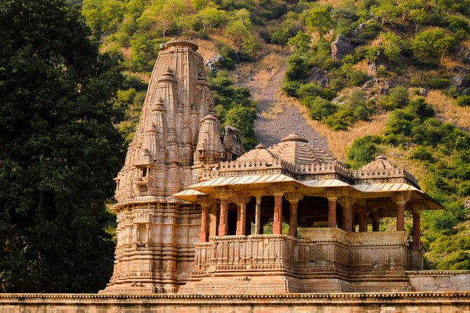 Guided Day Trip to Abhaneri & Haunted Bhangarh From Jaipur - Pickup and Drop-off Services