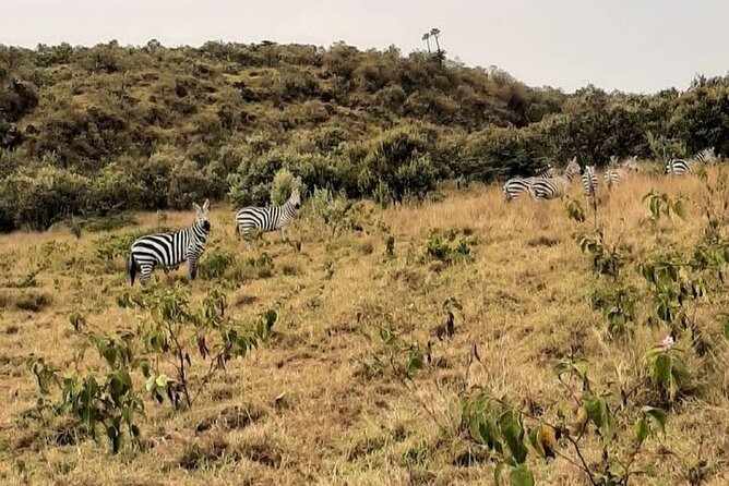 Guided Hiking at Mt Longonot - Activity Overview