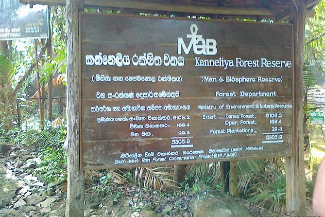 Guided Nature Trail to Kanneliya Forest - Additional Information