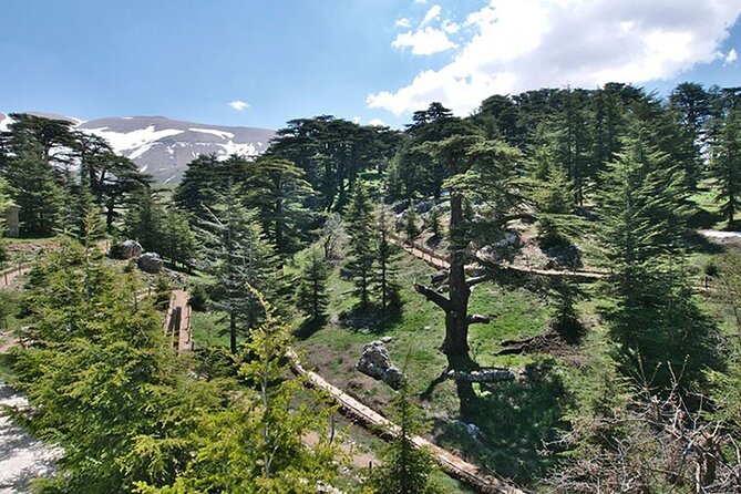 Guided Private Tour to the Cedars of God With Breakfast & Tickets - Pickup Information