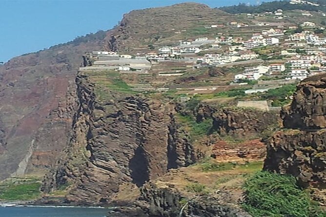 Guided Toboggan Ride and Madeira Wine Tasting Tour - Additional Information