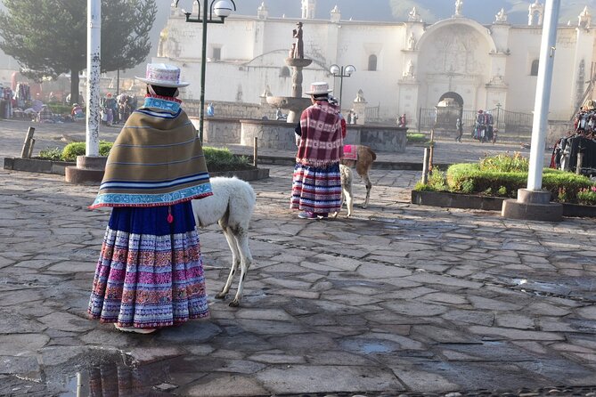 Guided Tour of 2 Days and a Night From Colca to Puno - Accommodation Details
