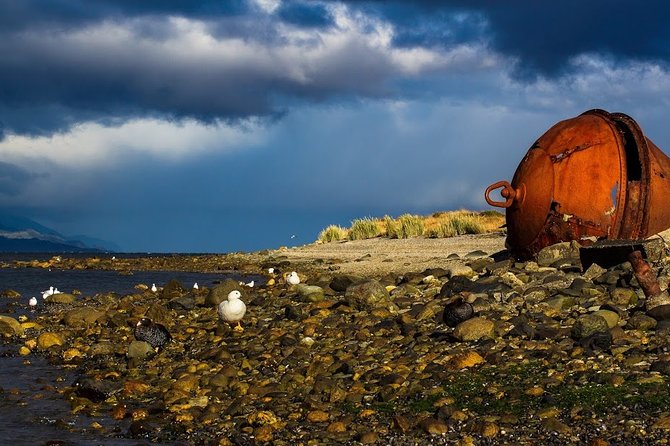 Guided Tour of the City of Ushuaia - The Sum Up