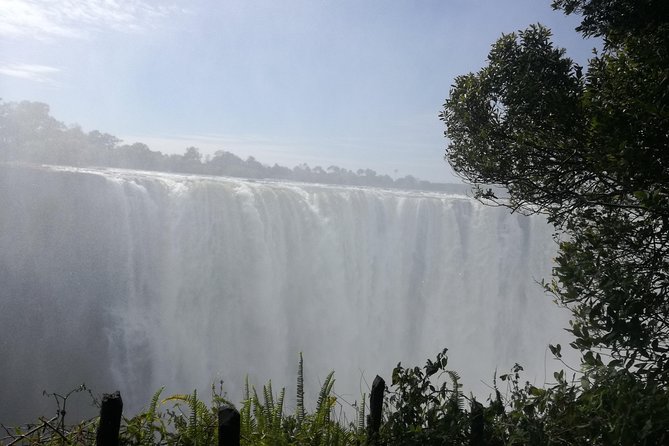 Guided Tour of the Victoria Falls