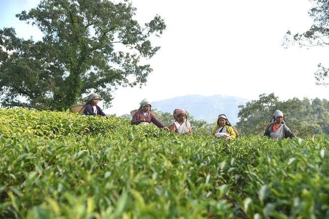 Guwahati Shillong Tours - Booking Confirmation and Accessibility