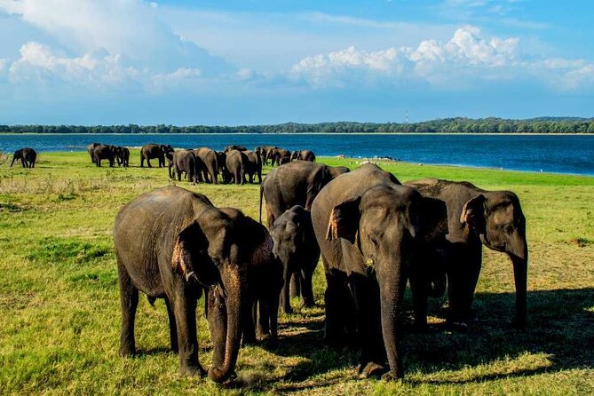 Habarana Adventure Day Tour From Kandy - Booking Process