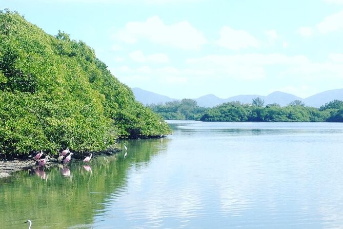 Half-Day Adventurous Boat Tour Tijuca Lagoon in Rio De Janeiro - Included Amenities