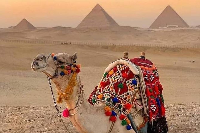 Half-Day Camel Ride Around the Pyramids of Giza - Booking Process