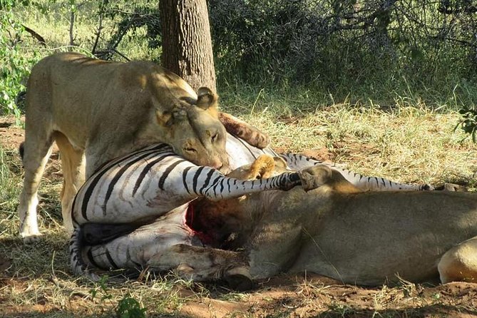 Half Day Chobe With Lunch - Botswana - Tour Details
