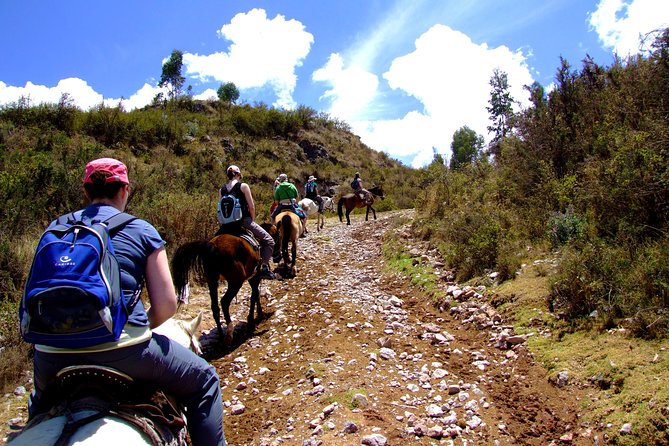Half Day - City Horse Traditional Riding Tour Group Service - Directions