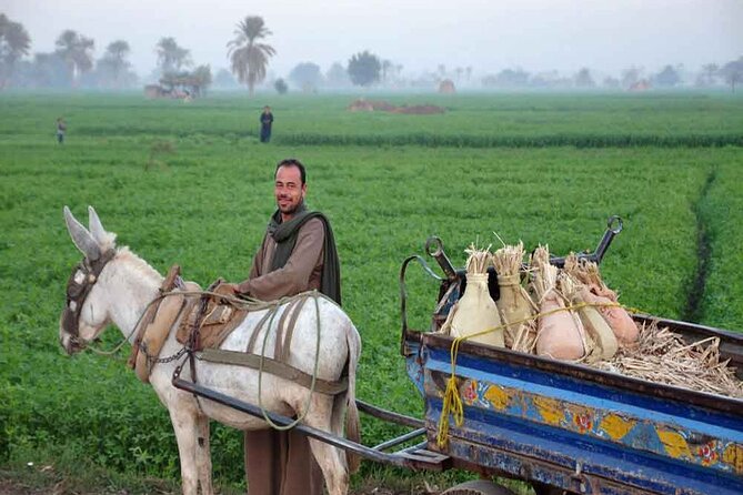 Half-Day Egypt Country Side Farm Tour With Pick up - Breakfast Options