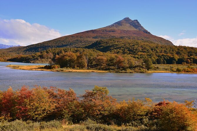 Half Day in Tierra Del Fuego National Park With Train