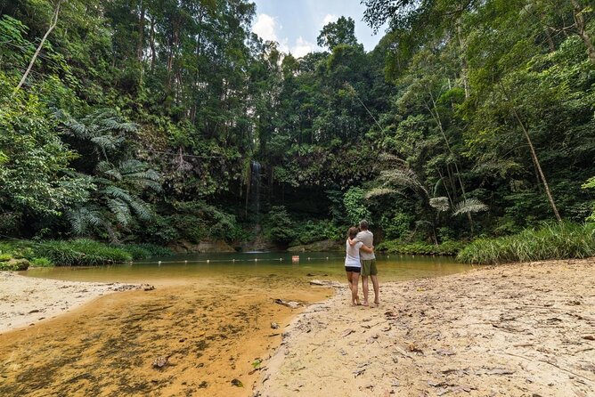 Half-Day Lambir Hills National Park Tour From Miri - Good To Know