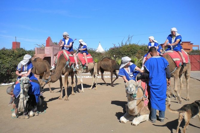 Half Day Marrakech Camel Safari - Pickup Information