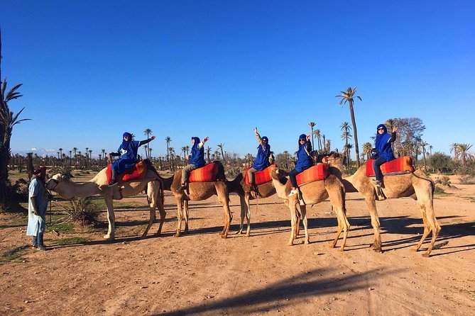 Half-Day Marrakech Palmeraie Adventure With Camel Ride - Inclusions and Pricing
